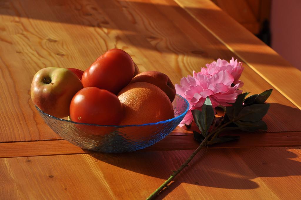 Apartmani Galeb بيوغْغاد نا موغو المظهر الخارجي الصورة